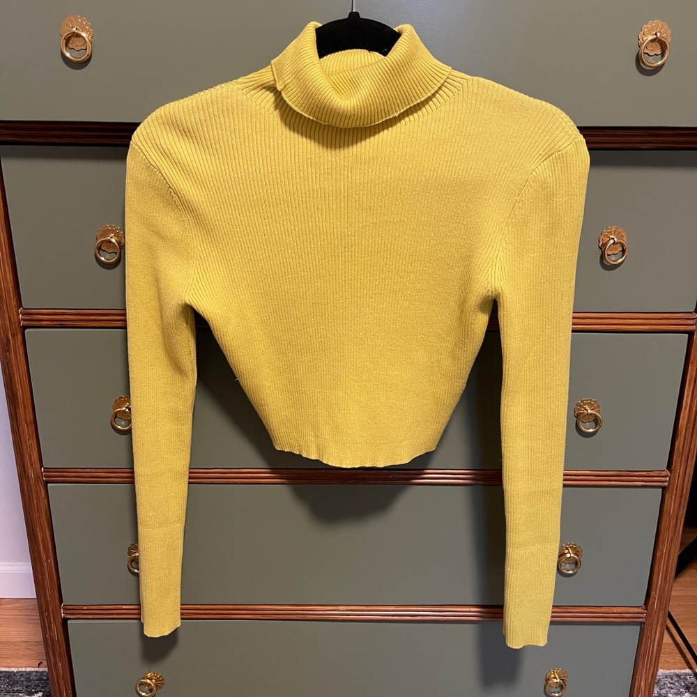 Crop Turtleneck